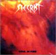 Siecrist : Soul in Fire